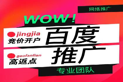 SEM专员案例深度解读